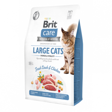 Brit Care Large cats Power&Vitality