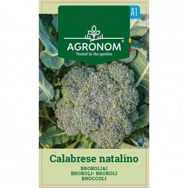 Brokoliai CALABRESE NATALINO