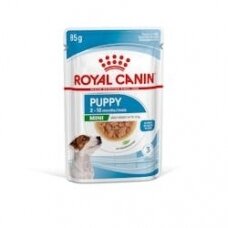 Royal Canin Mini Puppy in Gravy, 12 x 85 g
