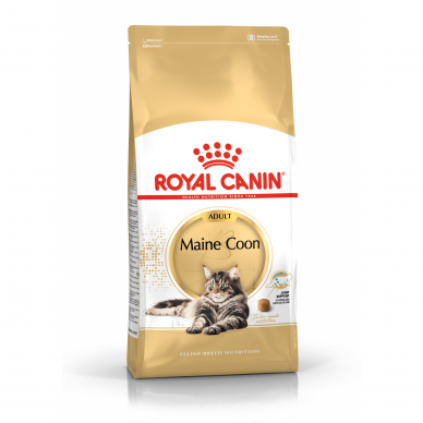 Royal Canin Maine Coon Adult 1