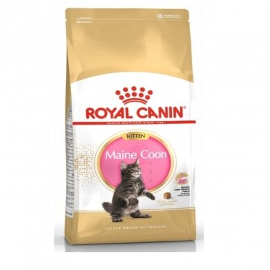 Royal Canin Maine Coon Kitten, 10 kg